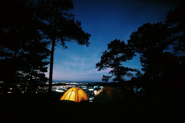 How can you find pet-friendly rentals in the UK for your next vacation?