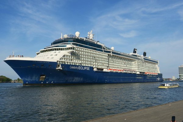 How can you explore the UK's wildlife while camping?